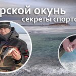 Поиск окуня на море весной - секреты рыболова-спортсмена | FishingSib видео