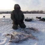 Первый зимний отчет о рыбалке в Подмосковье.