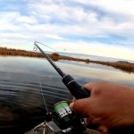 Рыбалка в затоне, ловля щуки из камыша, спиннинг осенью 2019