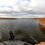 Рыбачим на джиг, Ловля Щуки Поздней Осенью на Спиннинг 2019