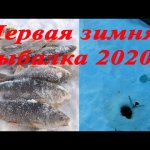 Первая зимняя рыбалка 2020 года. С новым годом!
