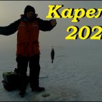 Рыбалка в Карелии 2020.  Ловля окуня на блесну и балансир.  День 4