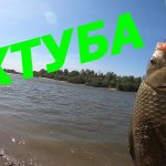 Рыбалка на Ахтубе/Отличный клев /Природа/ Рыбалка 2020г