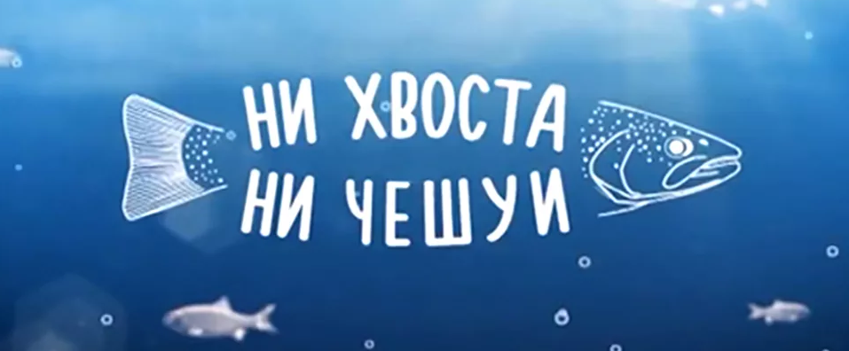 Ни хвоста ни чешуи картинки для рыбака прикольные