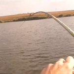 Рыбалка на живца поплавочной удочкой. Ловля щуки осенью с берега