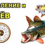 Давление для рыбалки зимой и летом. При каком давлении клюет рыба