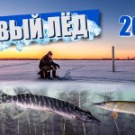 ПЕРВЫЙ ЛЕД 2021 | ЛОВЛЯ ЩУКИ ЗИМОЙ на ЖЕРЛИЦЫ | PIKE FISHING