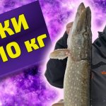Крупные щуки на 10 кг! Жерлицы на Вуоксе. Рыбалка в Ленинградской области