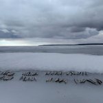 Рыбалка на корюшку в начале весны 2021. Финский залив
