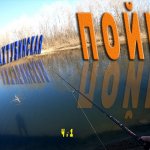 Волго-ахтубинская пойма в 30-70 км от Волгограда.  На какой улов можно рассчитывать?