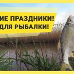 Рыбалка в Краснодарском крае: ЮМС, Шапарской, 28 канал. Улов: красноперки, таранки, окуни.