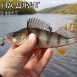 Рыбалка на ЛАЙТ СПИНИНГ на реке Дон | ОКУНЬ на Fanatik