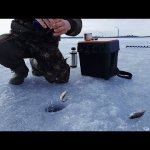 Зимняя раздача окуня на водохранилище! Рыбалка в конце февраля