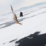 Первая зимняя рыбалка в жизни и не с нолём! Рыбалка зимой