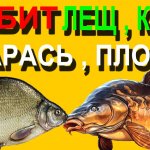 На Такую Отличную насадку для ловли Леща,Карася,Карпа,Плотвы ловит мало рыбаков в России