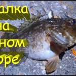Рыбалка с пирса на Черном море. Ловля морского ерша скорпены. Рокфишинг в Крыму