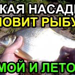 Вся рыба клюёт зимой и летом | All fish bite in winter and summer