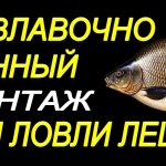 Таким монтажом мало кто ловит леща на реке на поплавочную удочку весной и летом