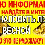 Где Наловить Леща Весной на Удочку, Фидер на Ваших Реках, Как найти место где стоит Лещ