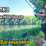 Рыбалка на карася на оз. Ваганьково. Фидерная рыбалка в Нижнем Новгороде