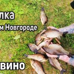 Летняя рыбалка в Нижнем Новгороде 2022. Борский район. Ловля карася в деревне Кунавино