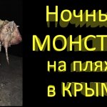 Огромный скат 8 кг на донку с пирса - вот такая рыбалка на пляже в Крыму...