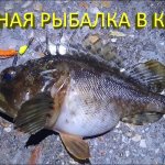 Опасная рыбалка на Черном море. Меры предосторожности при ловле морского ерша скорпены на спиннинг.