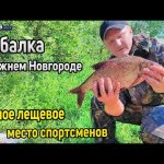 Рыбалка на Волге Нижний Новгород. Ловля леща на фидер. Уловистое место для рыбалки