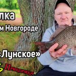 Озеро Лунское. Рыбалка в Нижнем Новгороде. Ловля карася осенью 2022