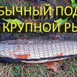 Обзор подсака для крупной рыбы BIG FISH TACKLE VERTICAL NET