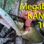 Как разловить несчастливый воблер? Щука 3 кг на огромный воблер Megabass Kanata 160 F