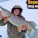 Трофейная рыбалка на жерлицы. Эту безумную борьбу нужно видеть. Первый лед на новый год