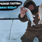 ШОК! Трофейная плотва на поставушки— и это на Волге! Поставушки: тактика, снасти, наживка для плотвы
