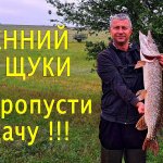 Весенний ЩУЧИЙ ВЗРЫВ! Две огромные щуки на один воблер, всего за час. Сумасшедшие поклевки!