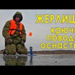 Что можно поймать на платнике? Поймали щуку-подушку и зарыбили городской пруд