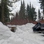 Разведка щуки. В гостях в лесной избушке.