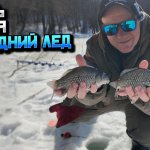 Как я поймал своих первых карасей со льда. Весенний лёд: охота на плотву и карася