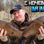 С ночевкой за лещем. Как ловить рыбу, когда она не клюет? Рыбалка с фидером на небольшой реке весной