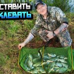 Капризный фидер весной. Как заставить леща клевать