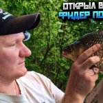 Весенняя рыбалка на карася. Бешенный клёв крупного карася. Попал на жор