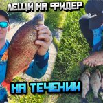 Лещ на Оке: тактика и снасти для сильного течения. 10 кг леща за утро: мой рецепт успеха