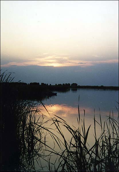 Озеро Хорошее, Карасук