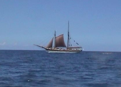 Флот Маврикия