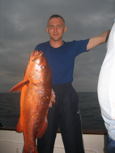 Рыбалка тролингом у побережья Гвинеи и Сьерра-Леоне - Карп руж (красный карп) поймал не я
