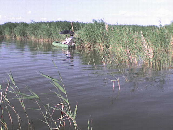 Жарко было даже на воде.