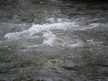 река   Усть- сема