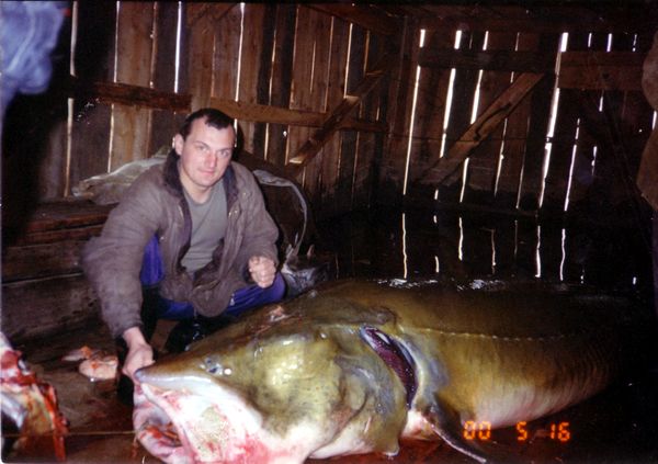 Фото 2000 г. Такие рыбки ловятся в Амуре. Калуга.