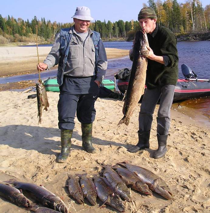 опять р Ляма. рыбалка любительская, в сентябре.
большая щука - 13 кг. без сетей, динамита и фотошопа.милости просим к нам на севера.
