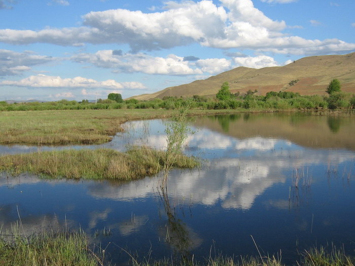 Разливы на выходе горной речки Орогнойка (приток Селенги)