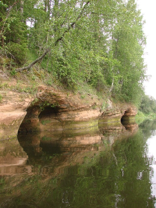 Река Оредеж в Ленинградской области. Июль 2007 г.
